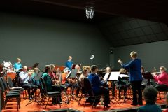 DSF4313-verkl